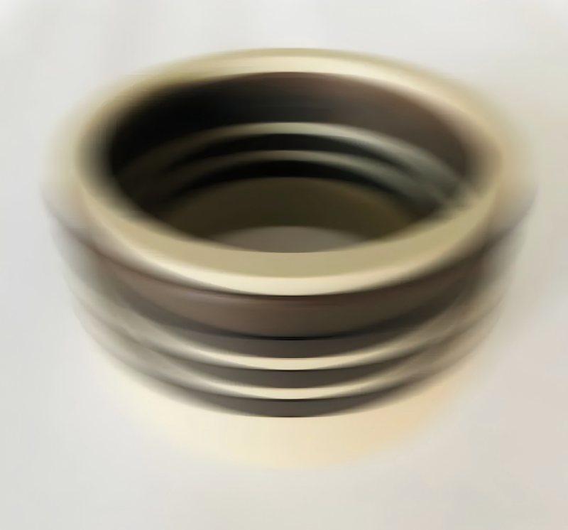 Ruichen Seal ၏ 600mpa ရေအလတ်စားတံဆိပ်ခတ်ထားသောတံဆိပ်ခတ်တံဆိပ်များသည်အသုံးပြုသူစစ်ဆေးမှုကိုကျော်လွန်သွားသည်