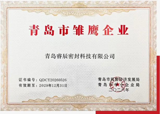 Qingdao Ruichen Sealing Technology Co., Ltd. ကို 2026 Qingdao 