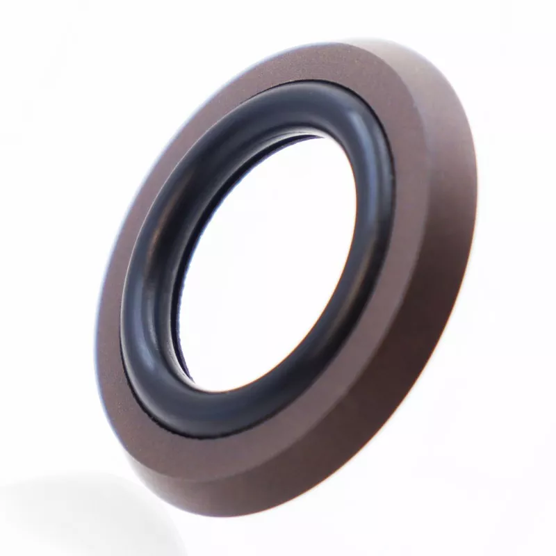 Axial Foot Type Combined Seal Axial Foot Type Combined Seal