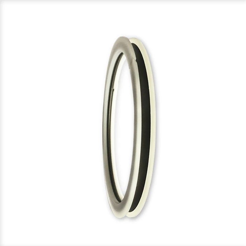 High Pressure Rotary Seals