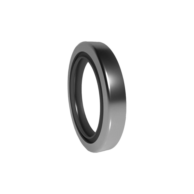 High Pressure Rotary Seals