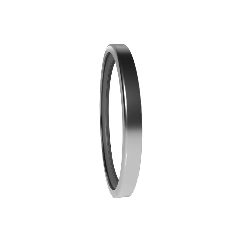 High Pressure Rotary Seals