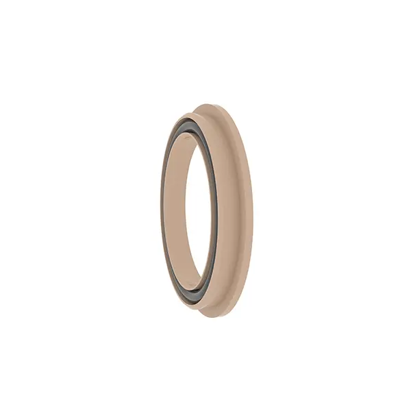 Rotary Spring Energized Seals